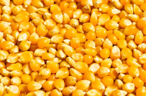 corn